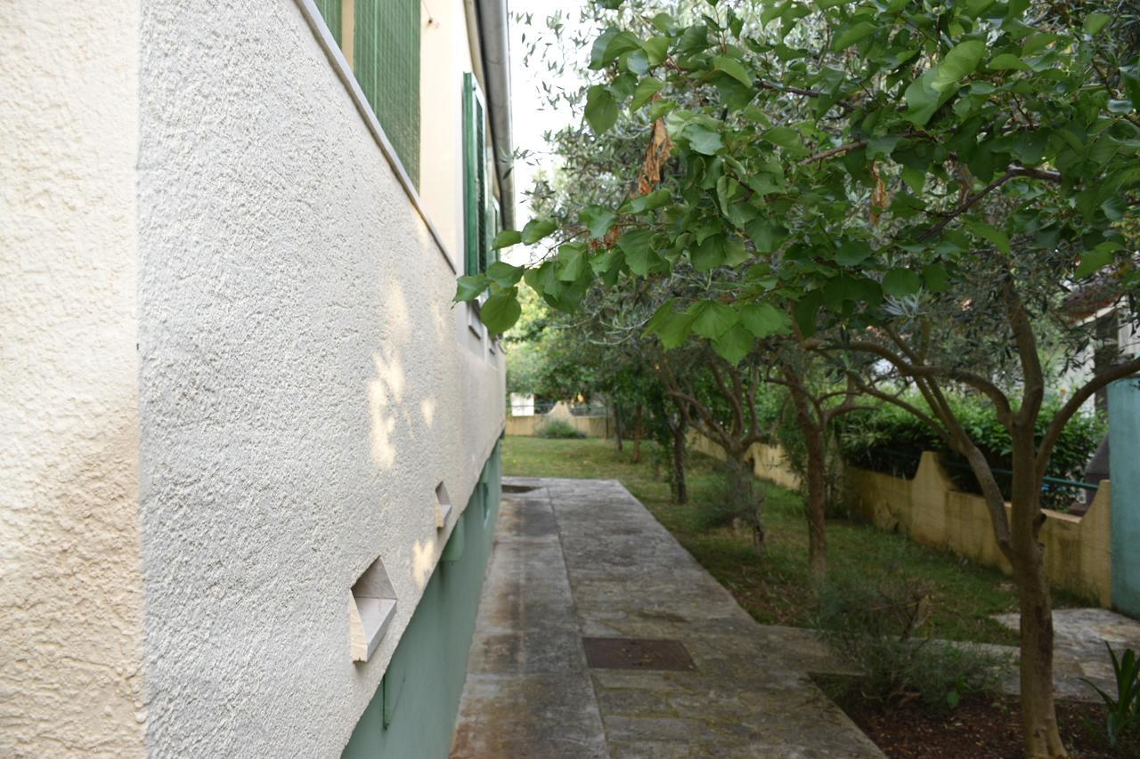 Apartments Antonija Punta Skala Next To Falkensteiner Resort Petrcane Eksteriør billede